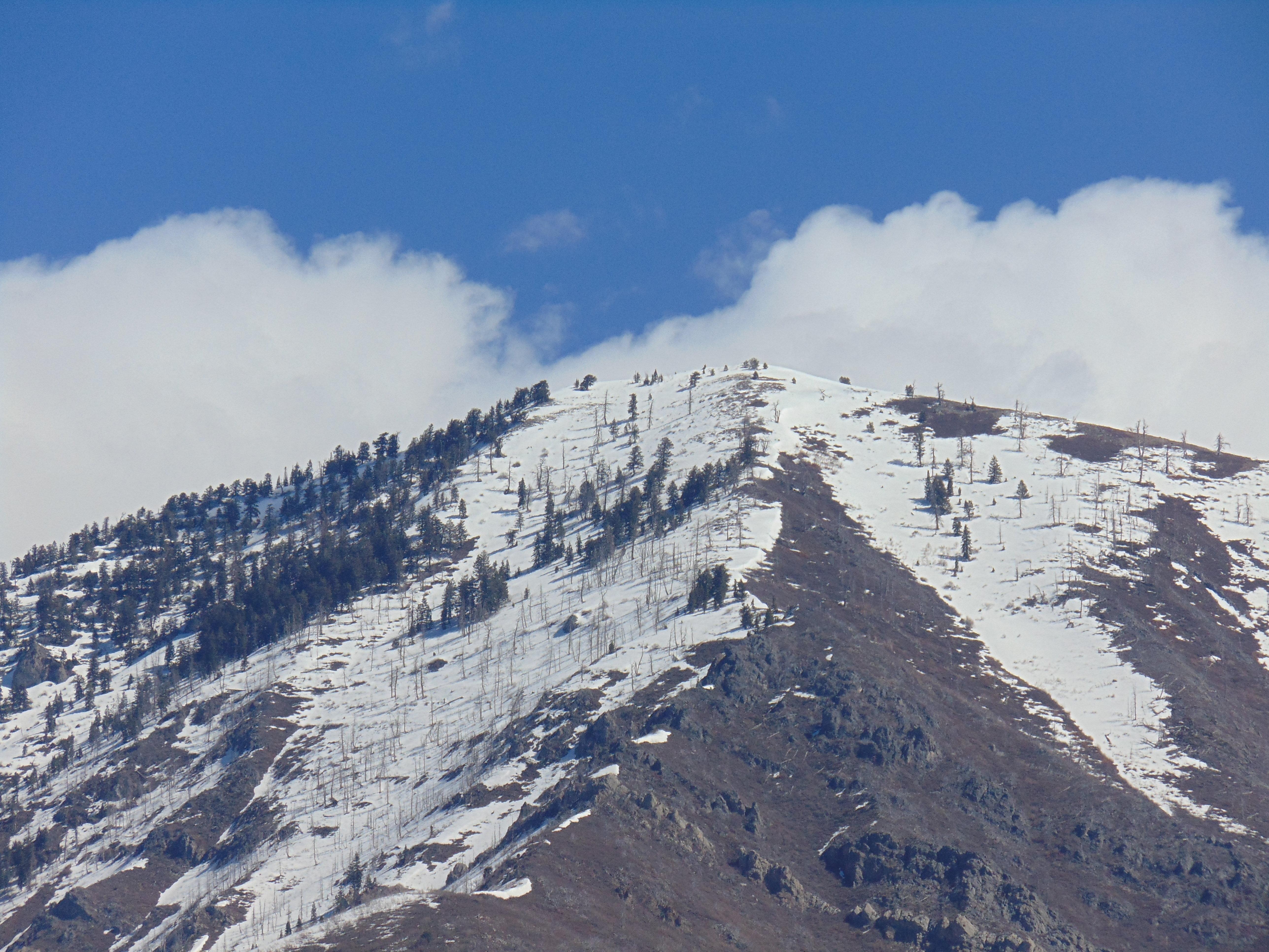 Holiday Inn Express & Suites Springville-South Provo Area By Ihg Exteriör bild